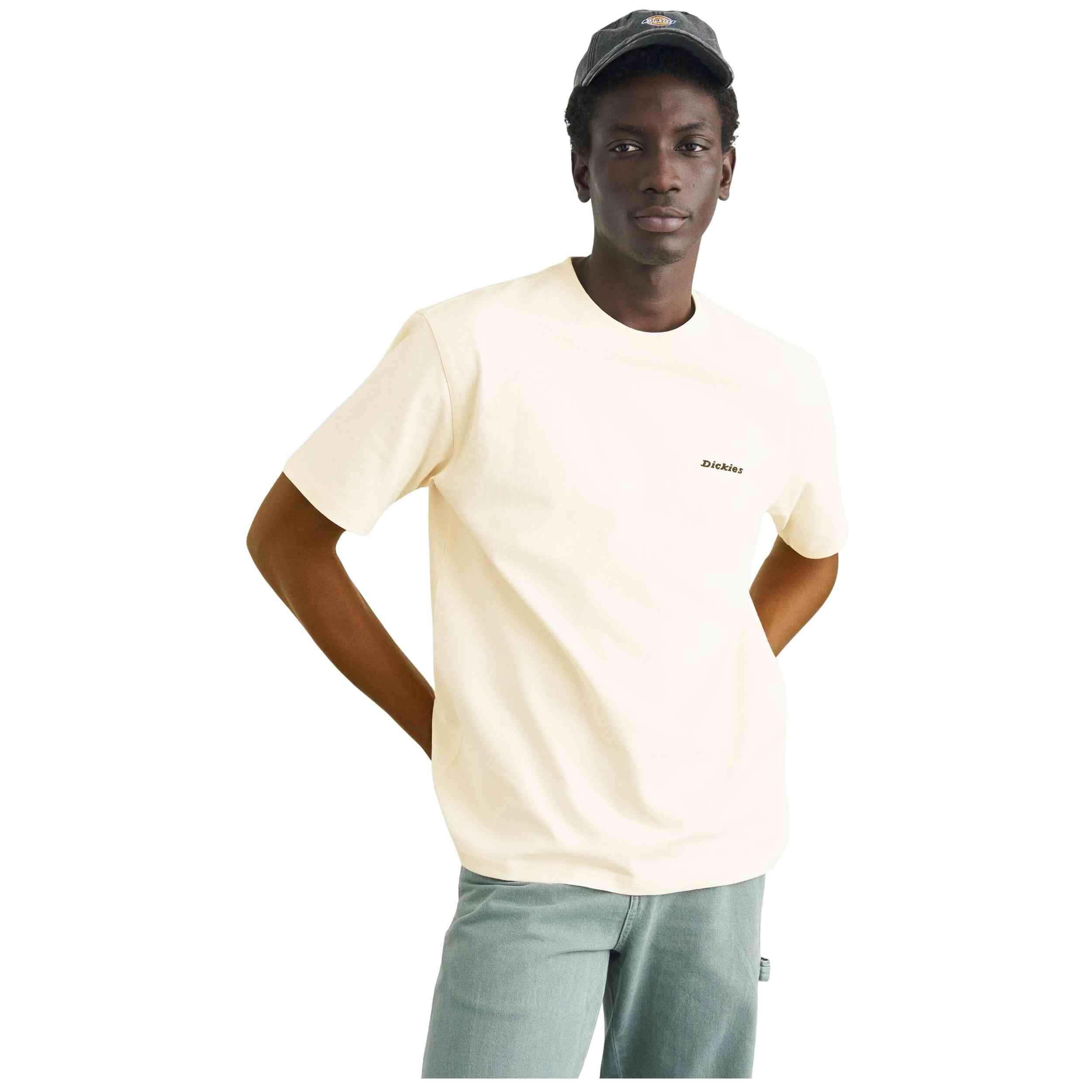 DICKIES picture