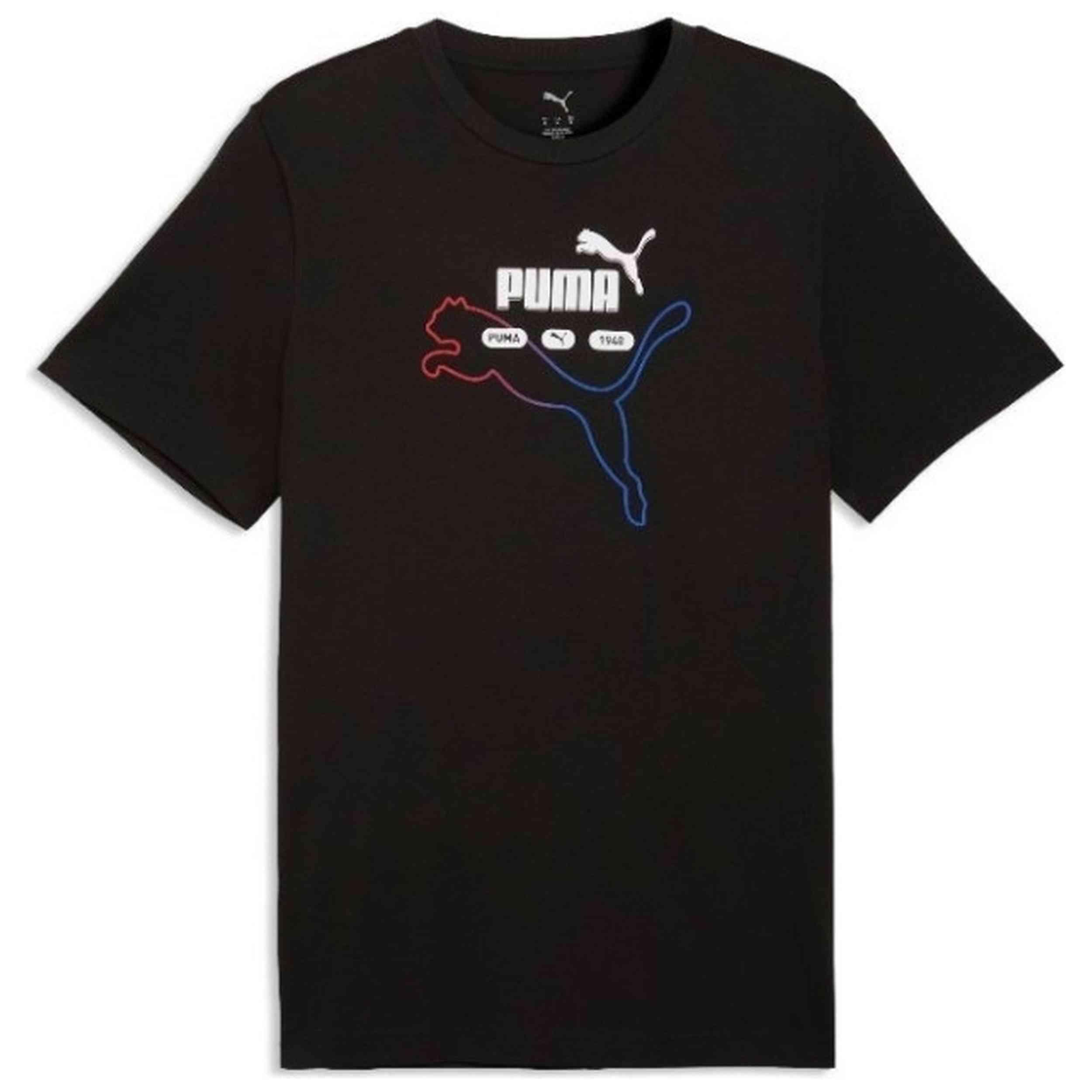 PUMA picture