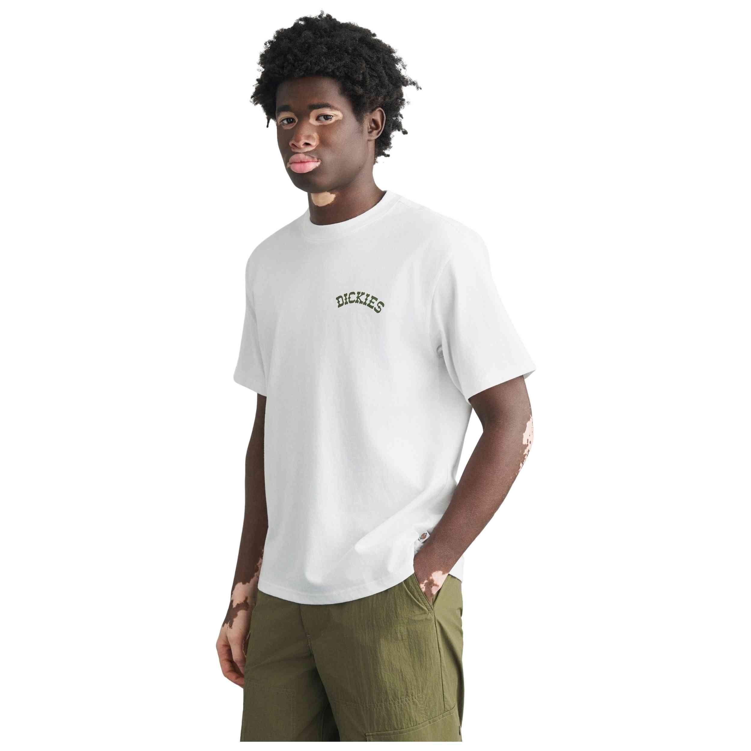 DICKIES picture