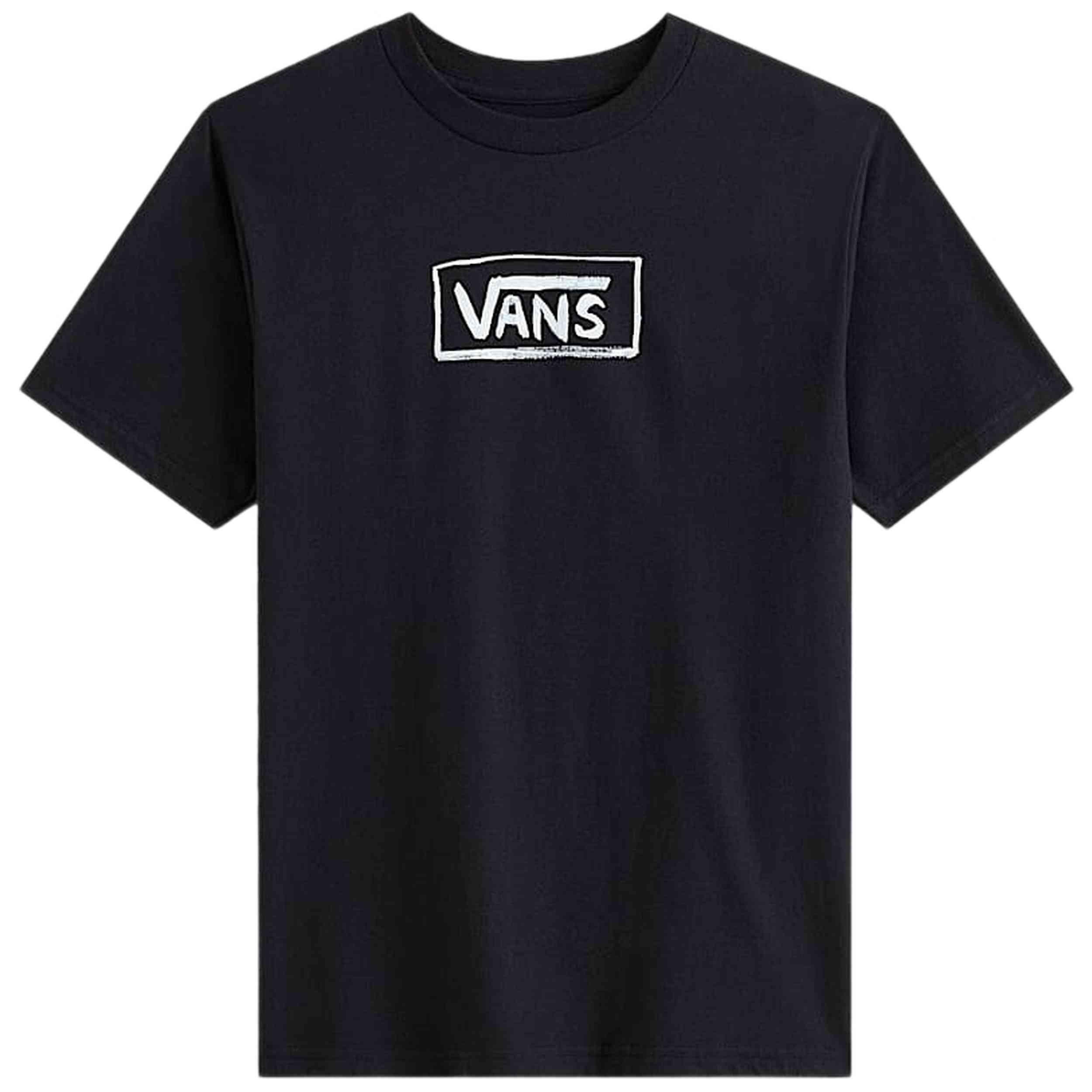 VANS picture