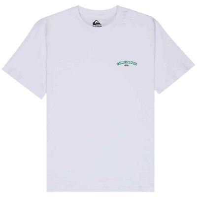 T-shirt met korte mouwen quiksilver model tap in voor mannen
