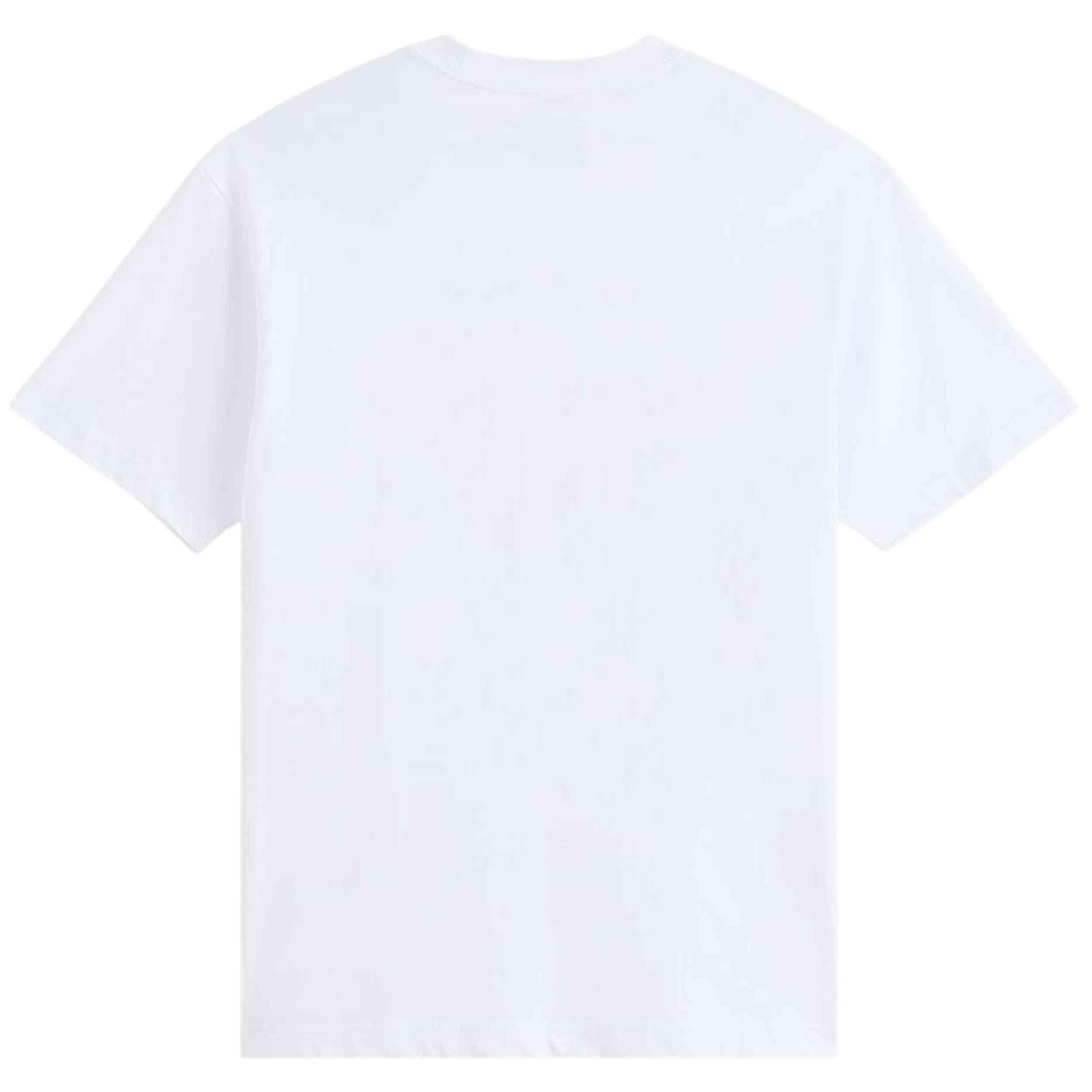 T-shirt Vans modèle VN000VYWWHT1 pour homme 2/5