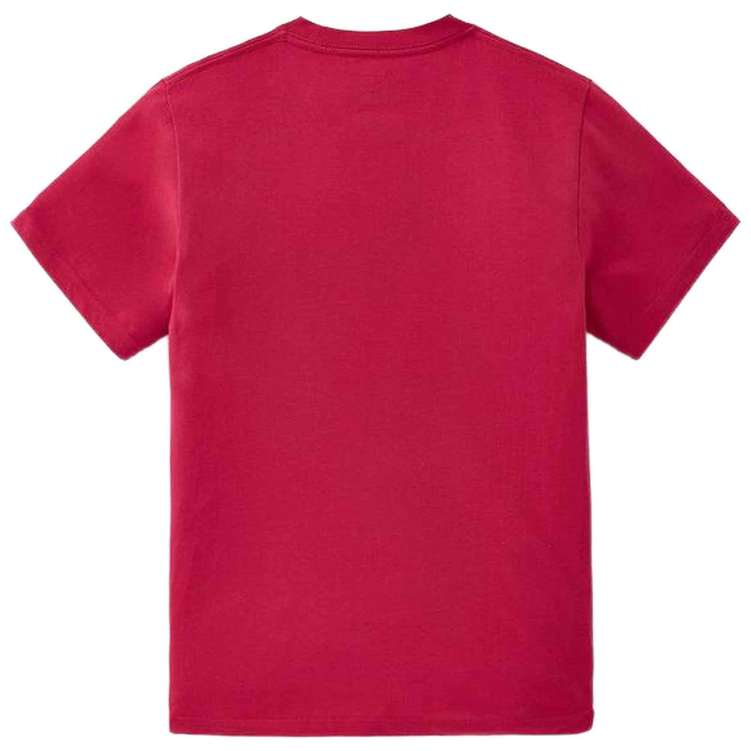 T-shirt Vans modèle VN0000IVFC9L1 pour unisexe enfants 3/3