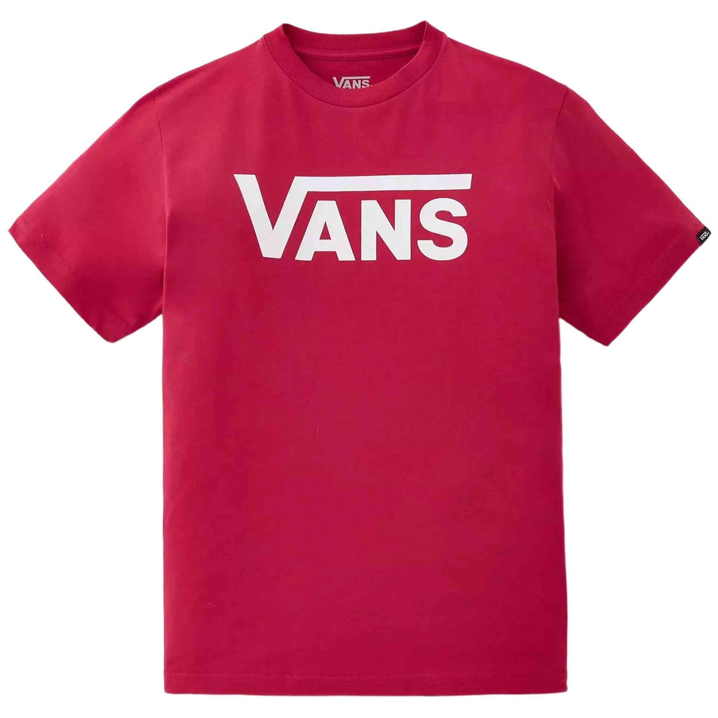 VANS picture