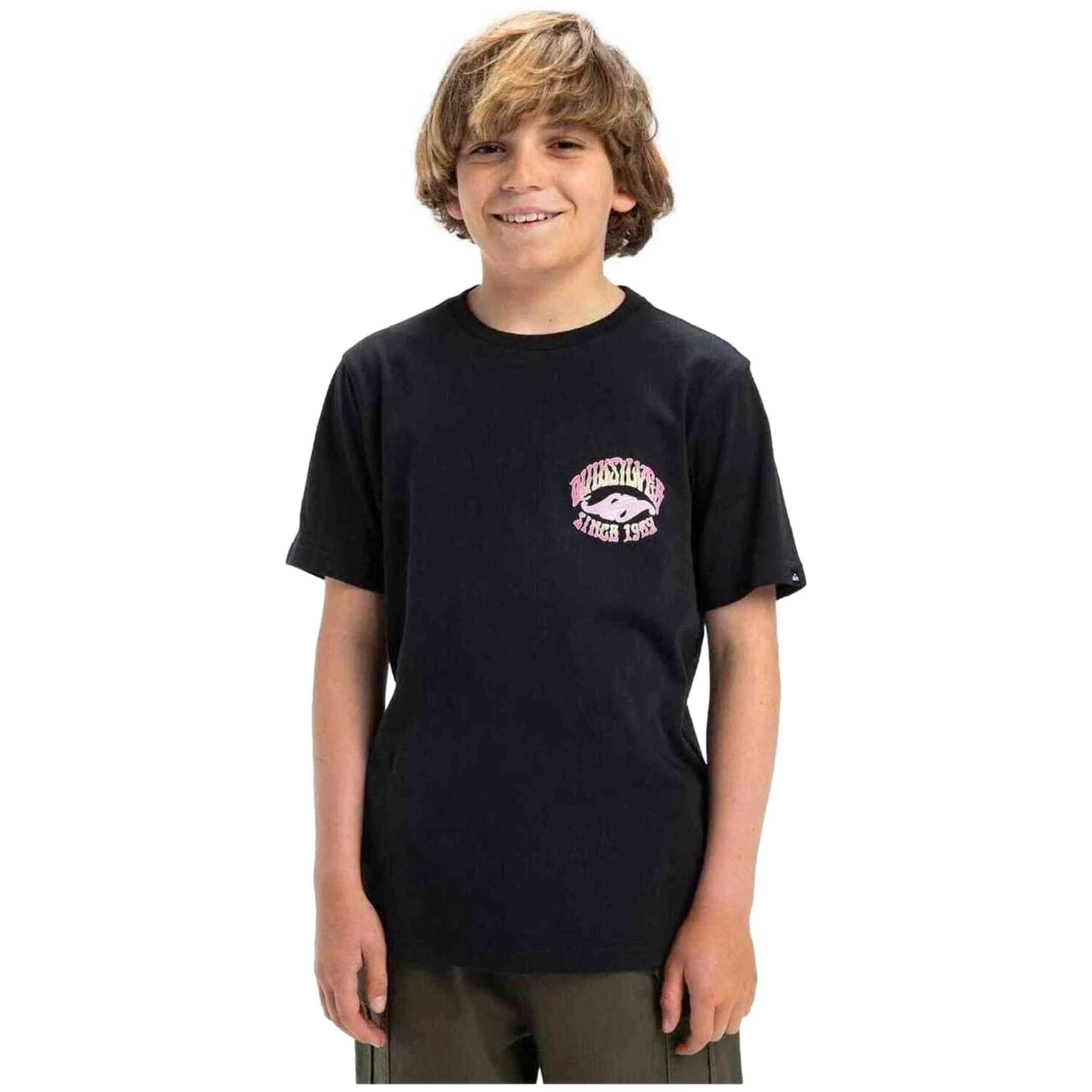 QUIKSILVER picture