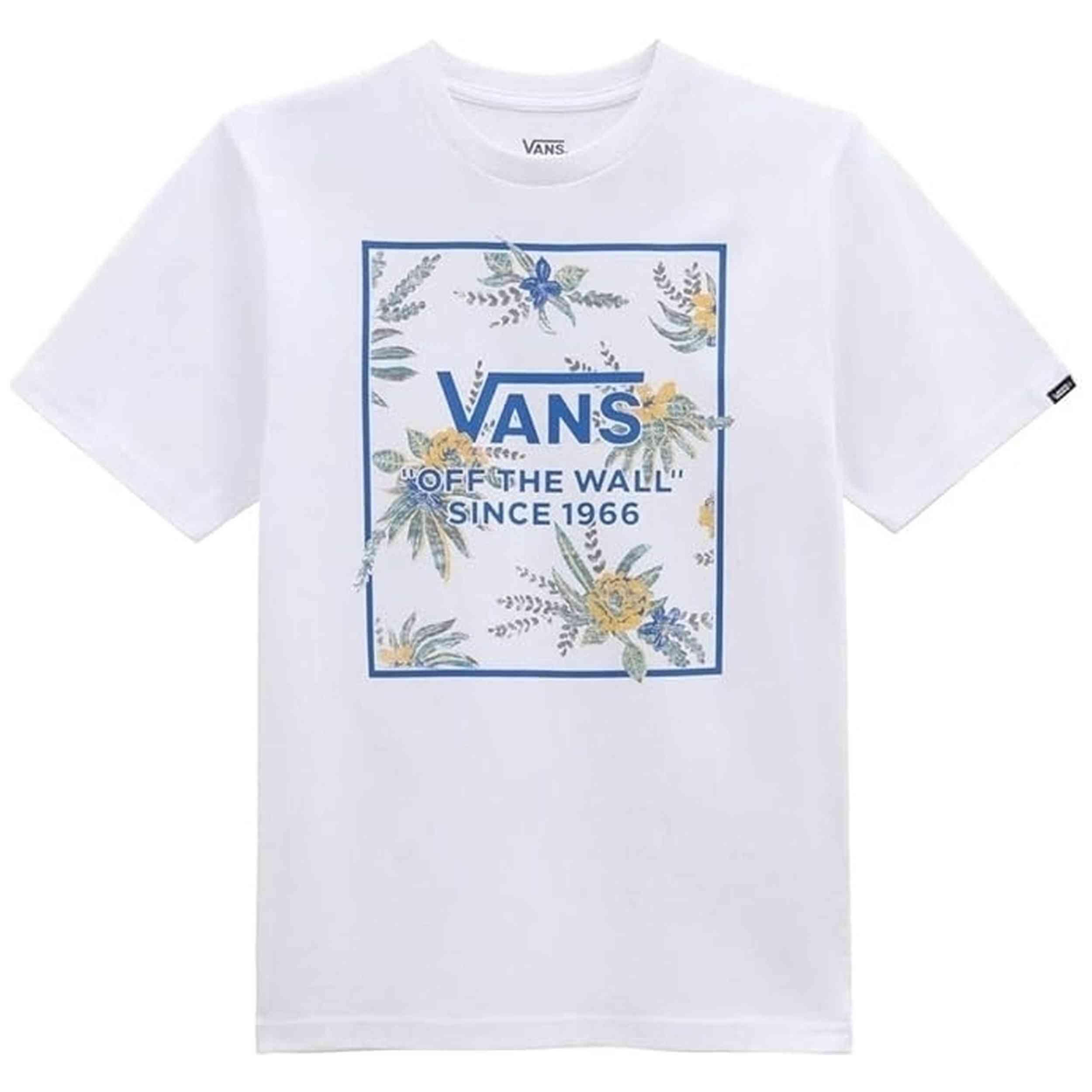 VANS picture