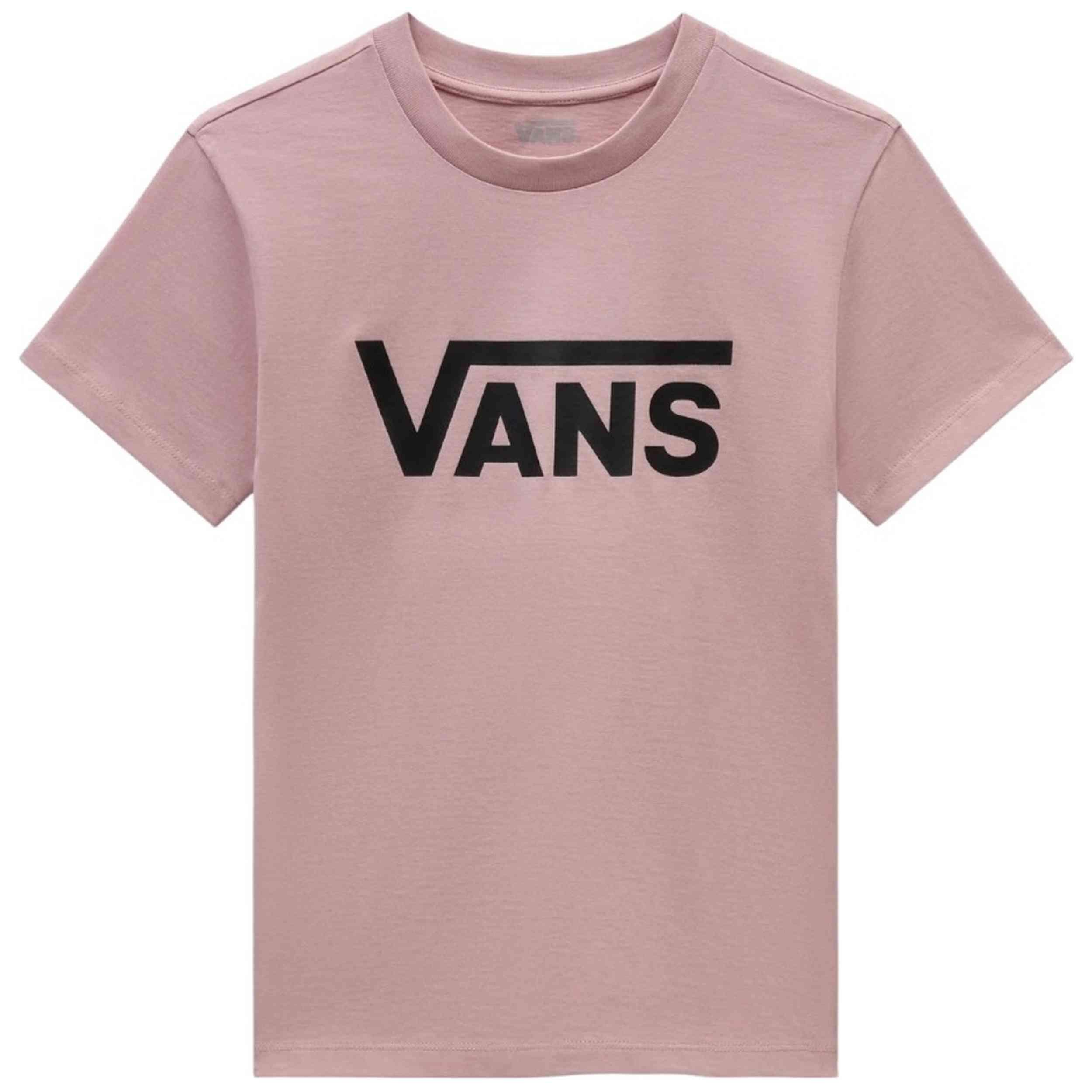 VANS picture