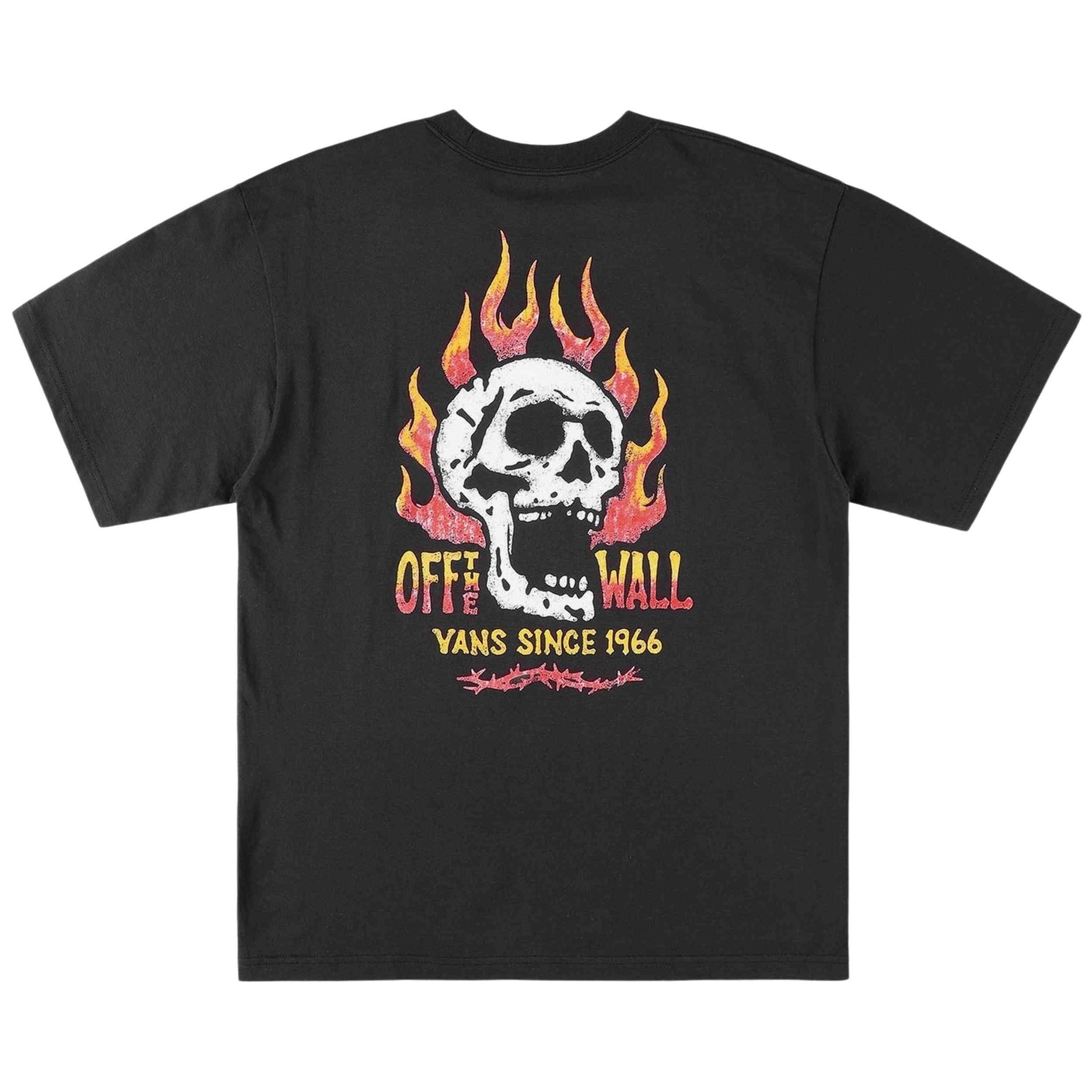 VANS picture