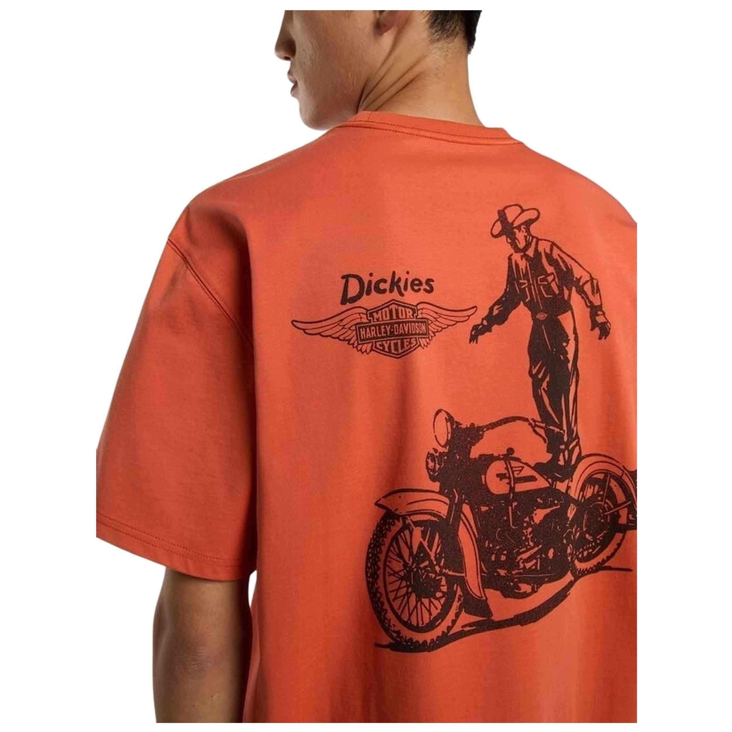 T-shirt met korte mouwen Dickies model M DICKIES X ND VINT TEE voor mannen 3/3