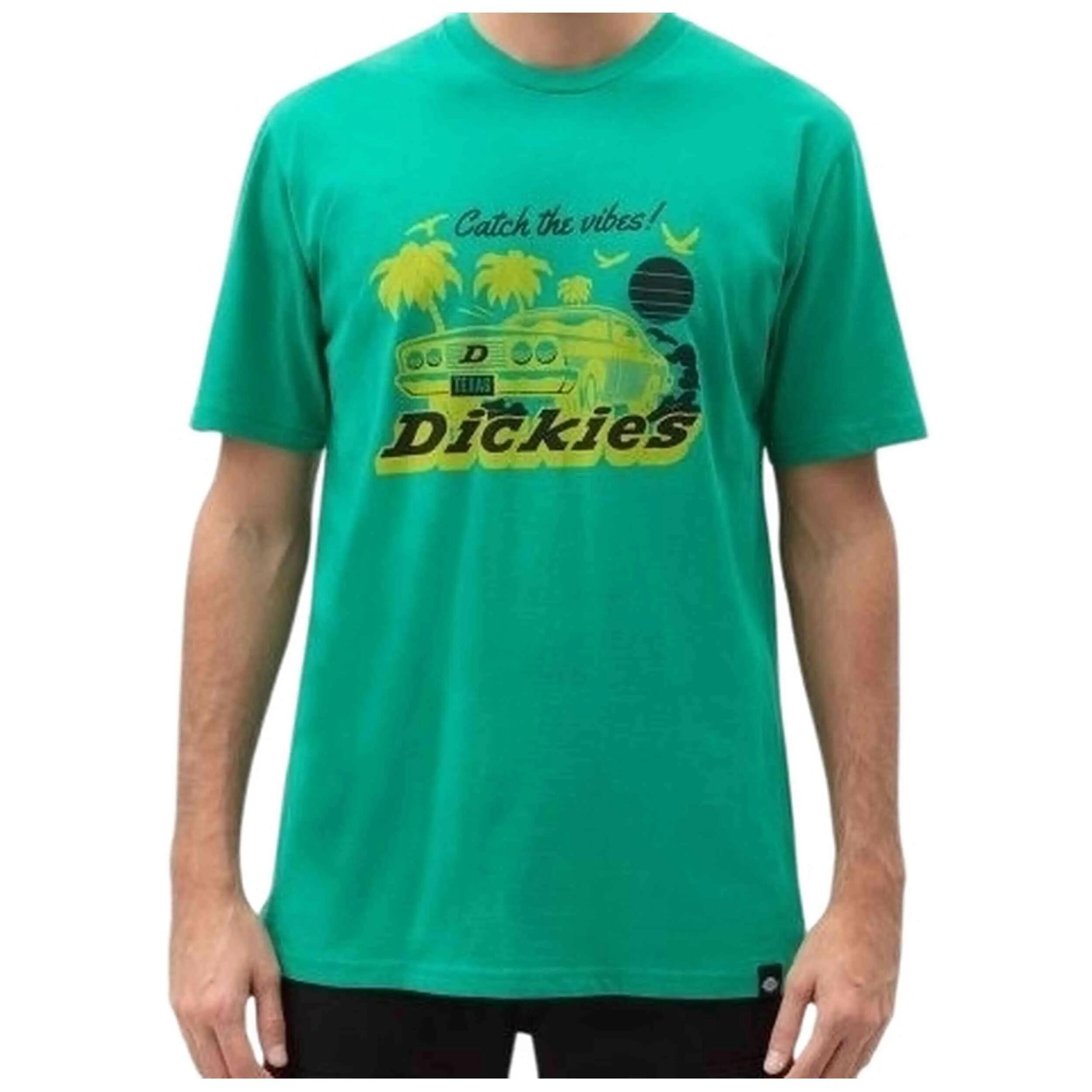 DICKIES picture