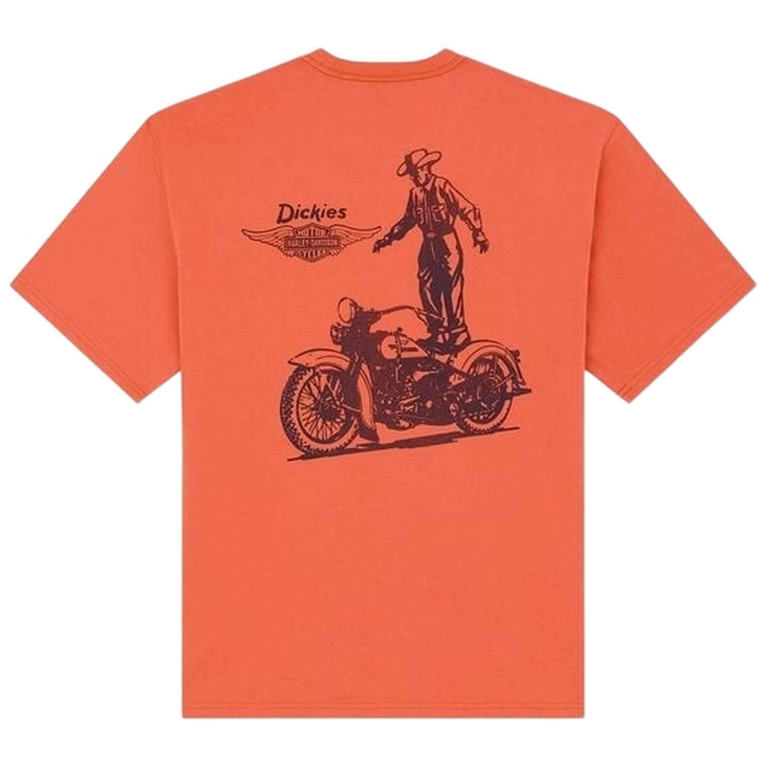 T-shirt met korte mouwen Dickies model M DICKIES X ND VINT TEE voor mannen 2/3
