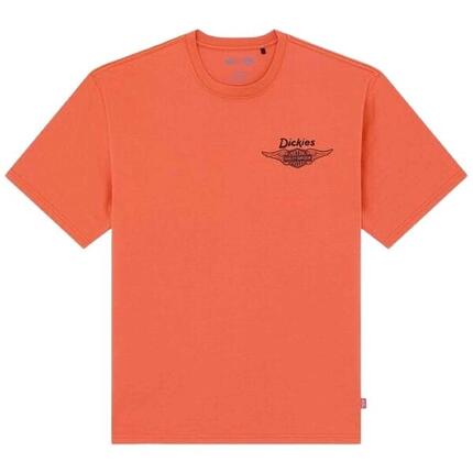 T-shirt Dickies modèle M DICKIES X ND VINT TEE pour homme