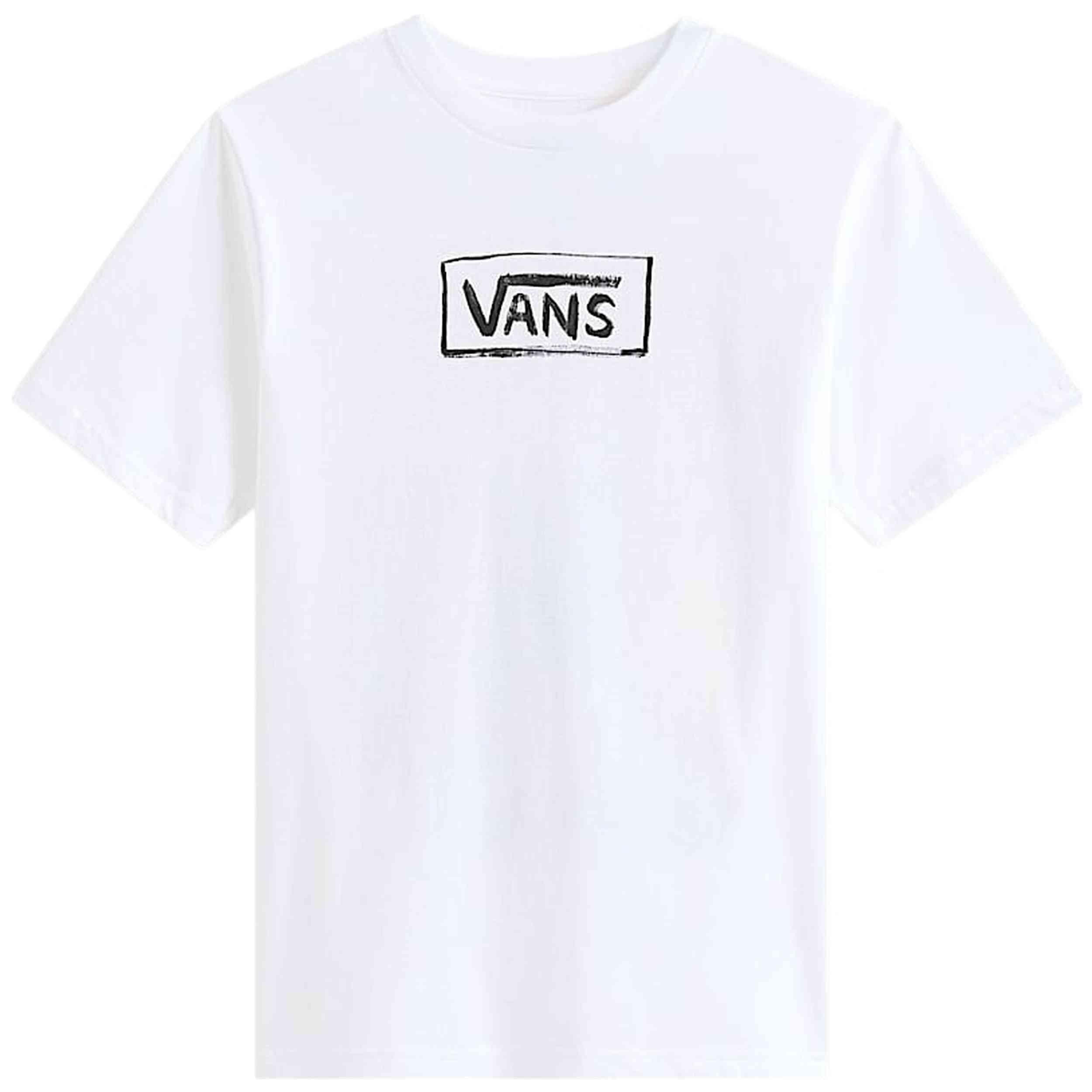VANS picture