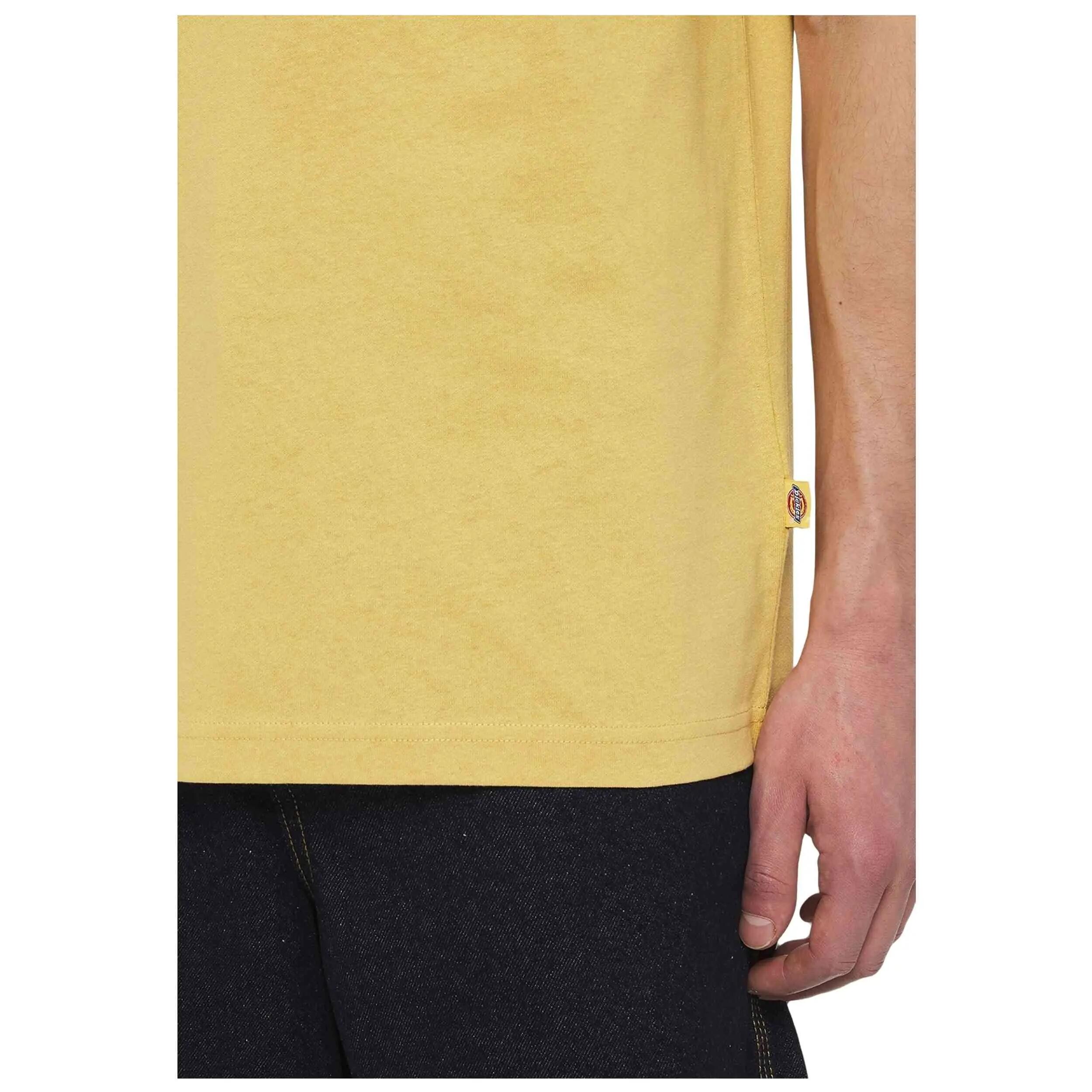T-shirt Dickies modelo Luray Pocket Tee para homem 5/5