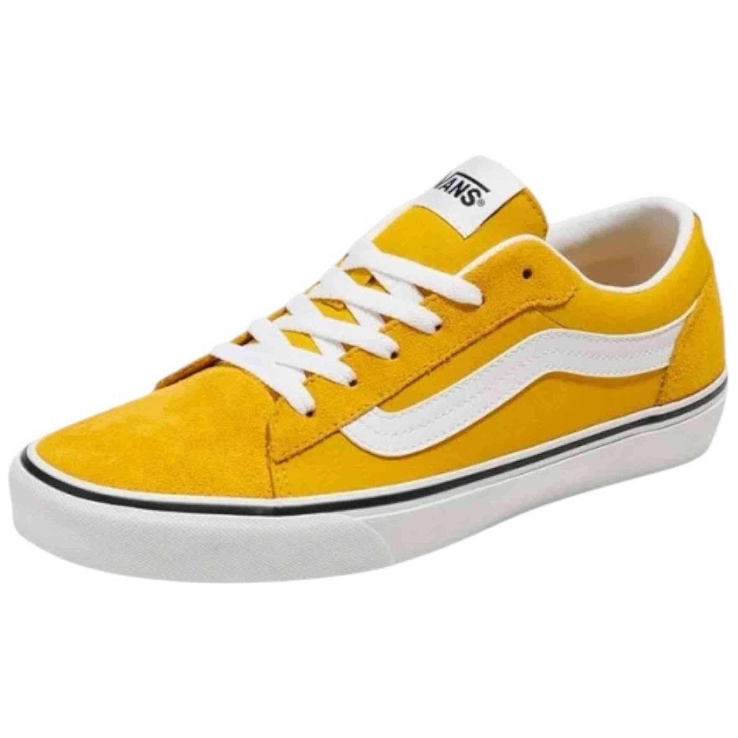 VANS picture