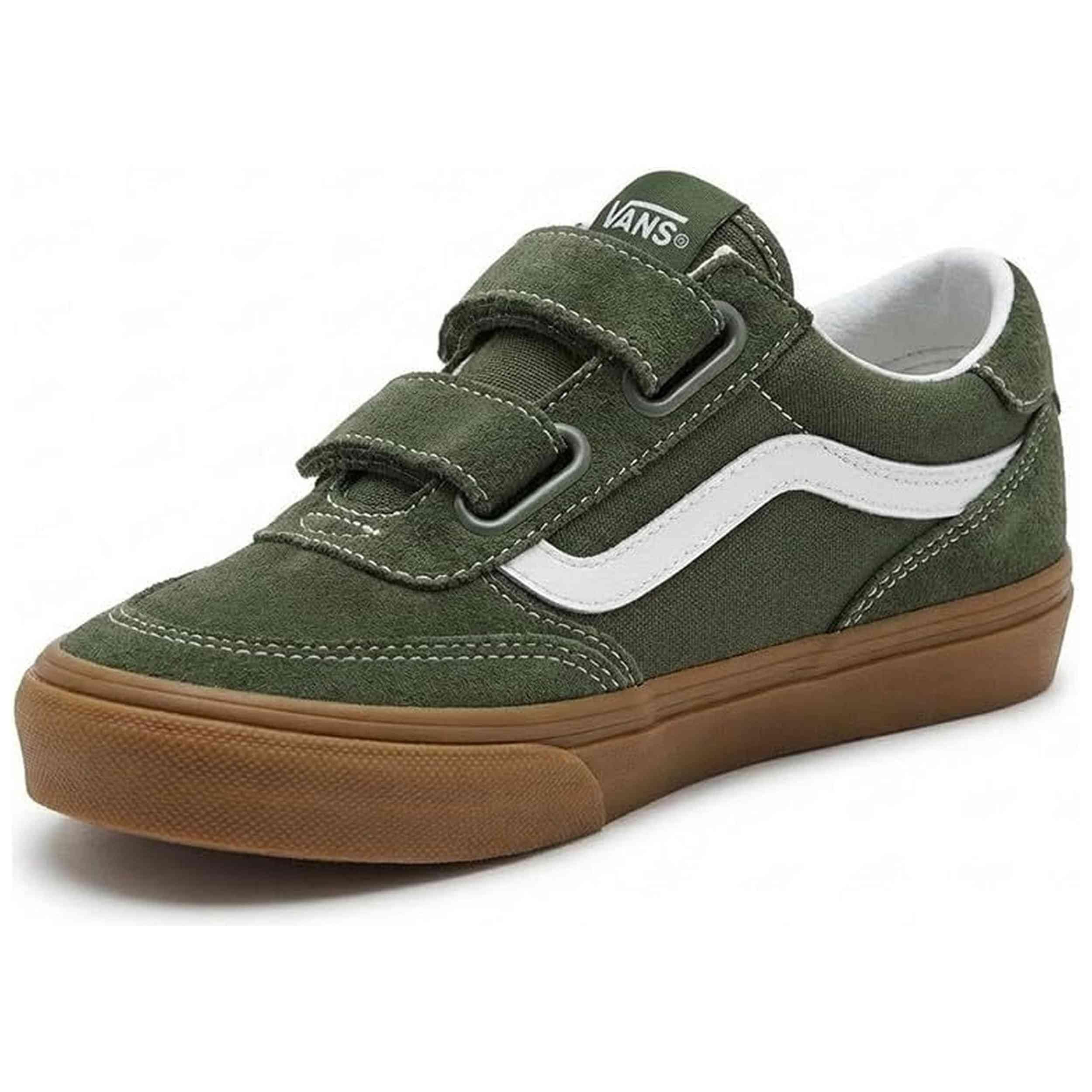 VANS picture