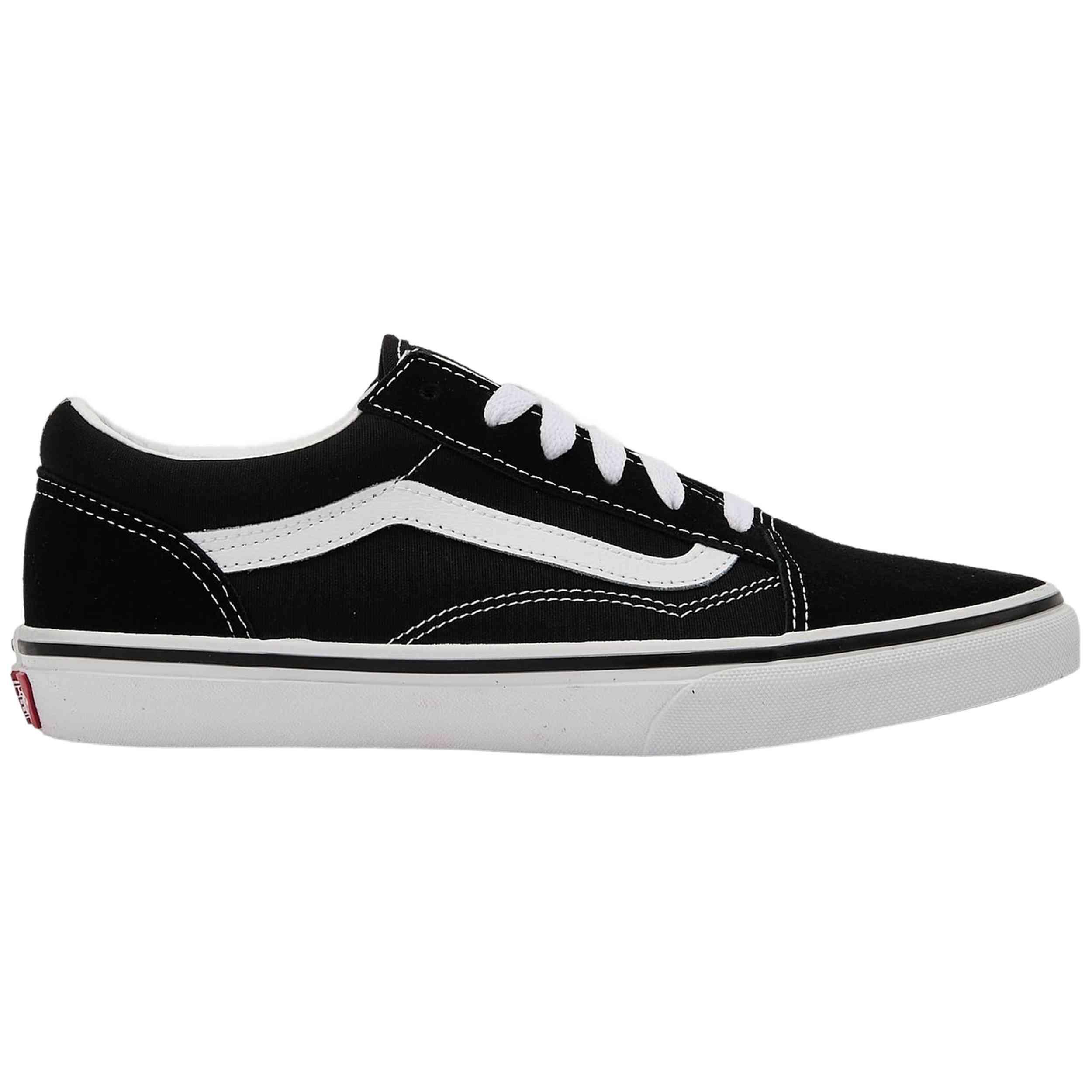 VANS picture