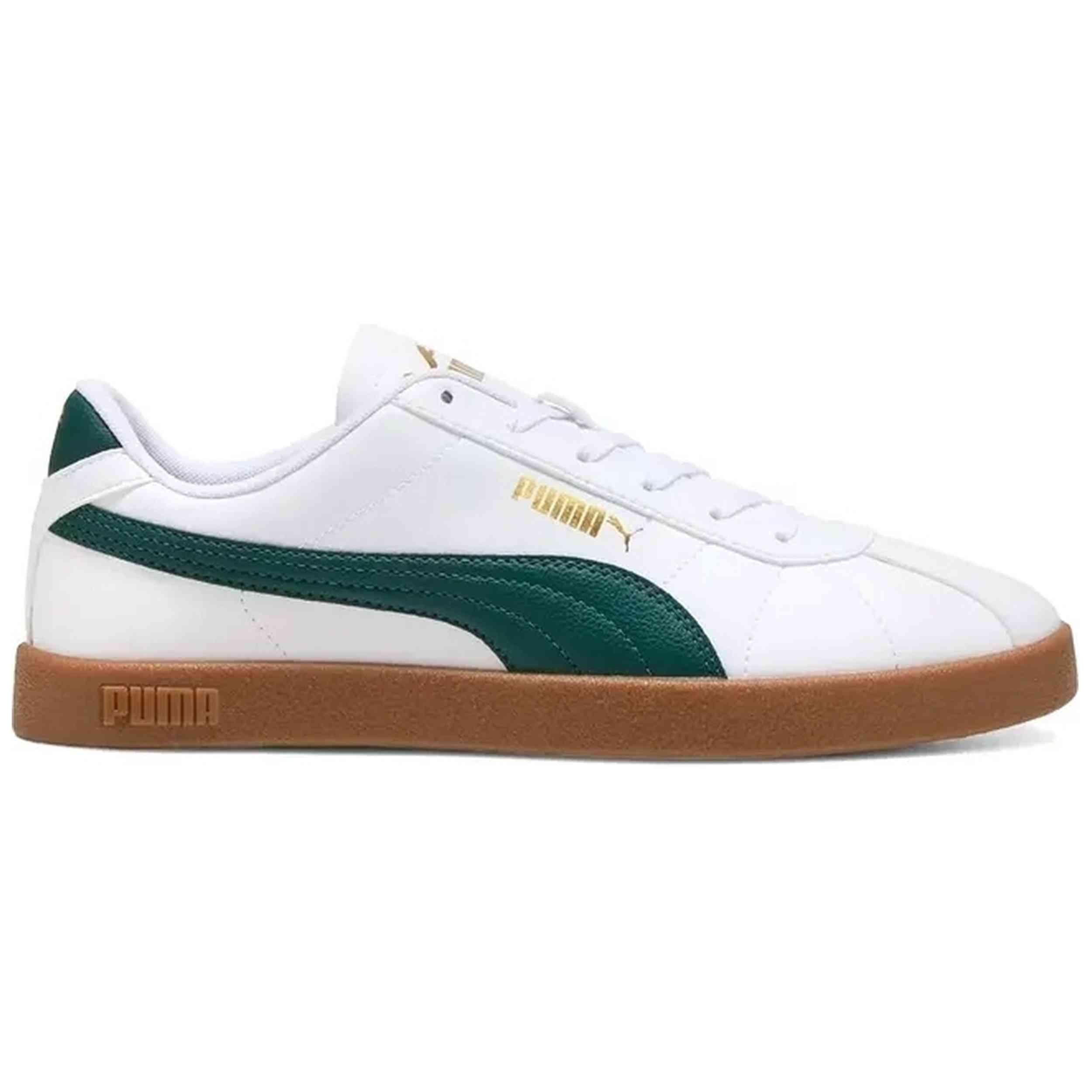 PUMA picture