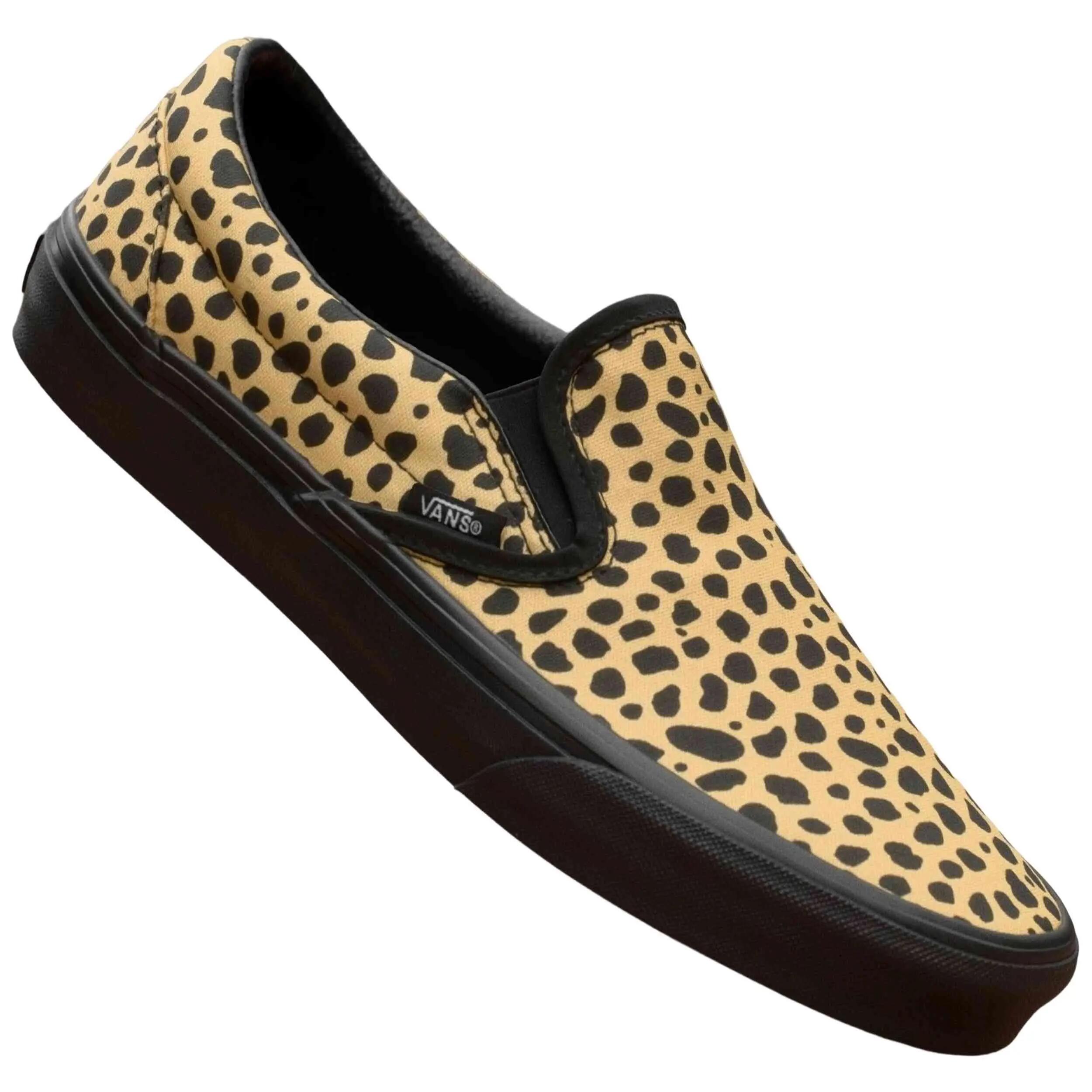 VANS picture