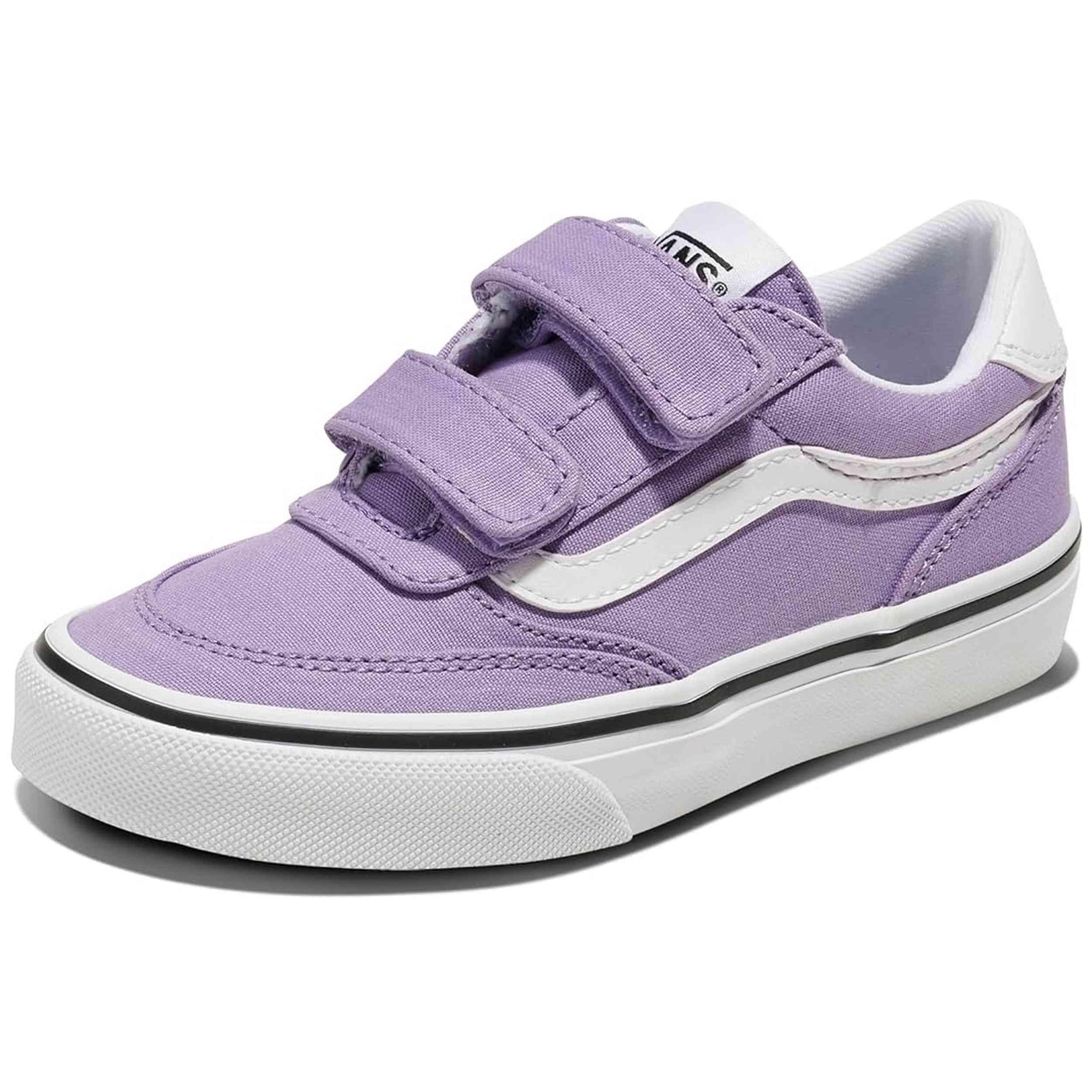 VANS picture