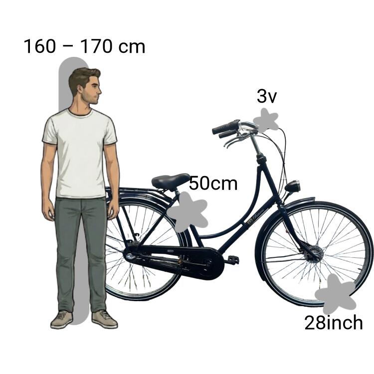 Bicicletta usata Batavus Old Dutch 2/4
