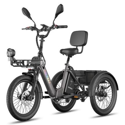Tricycle Électrique F20 Mate II 48V 25Ah Freins Hydrauliques Paniers 180kg