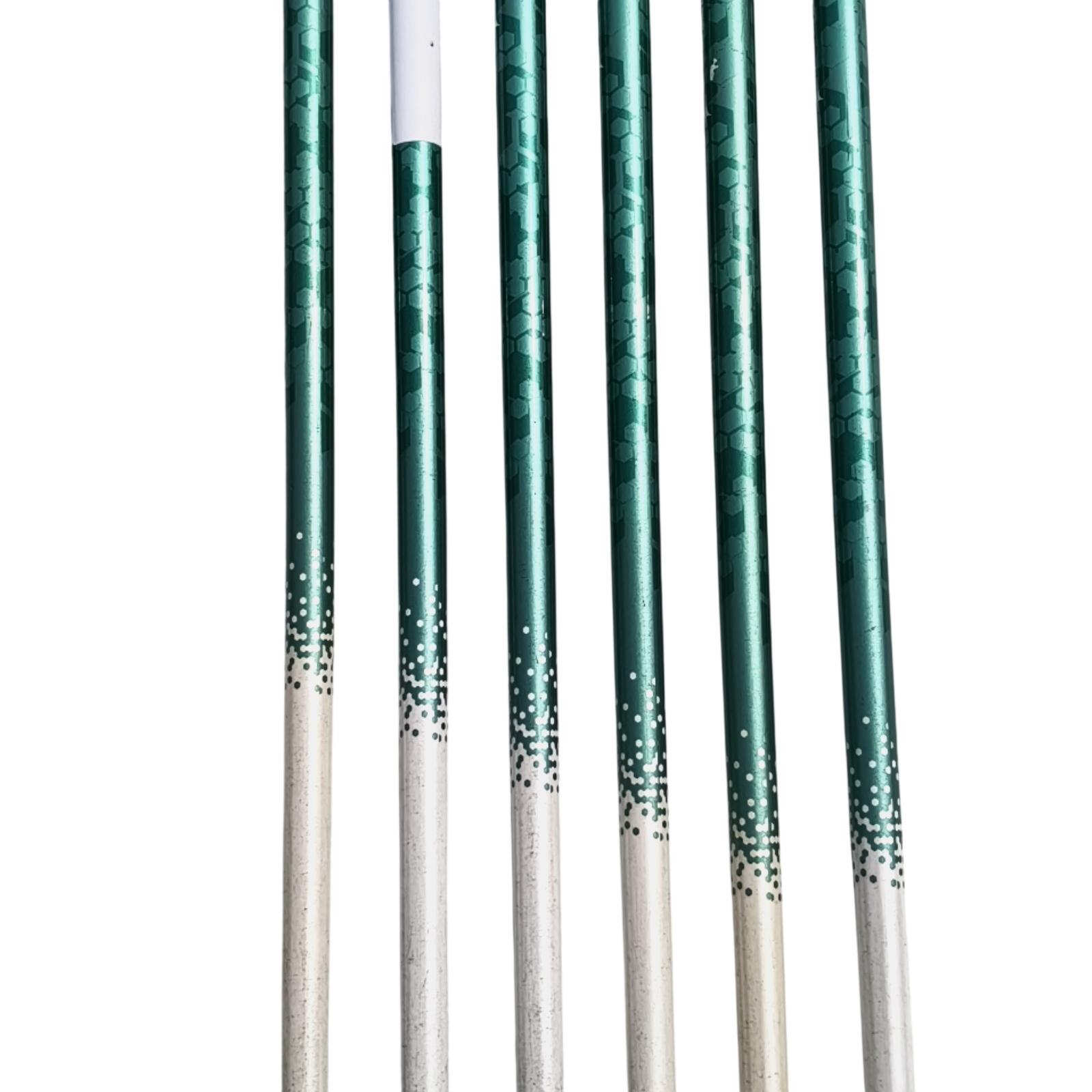 Wilson Staff D100 IJzerset / 6-PW+SW / Flex Ladies / Grafiet 4/7