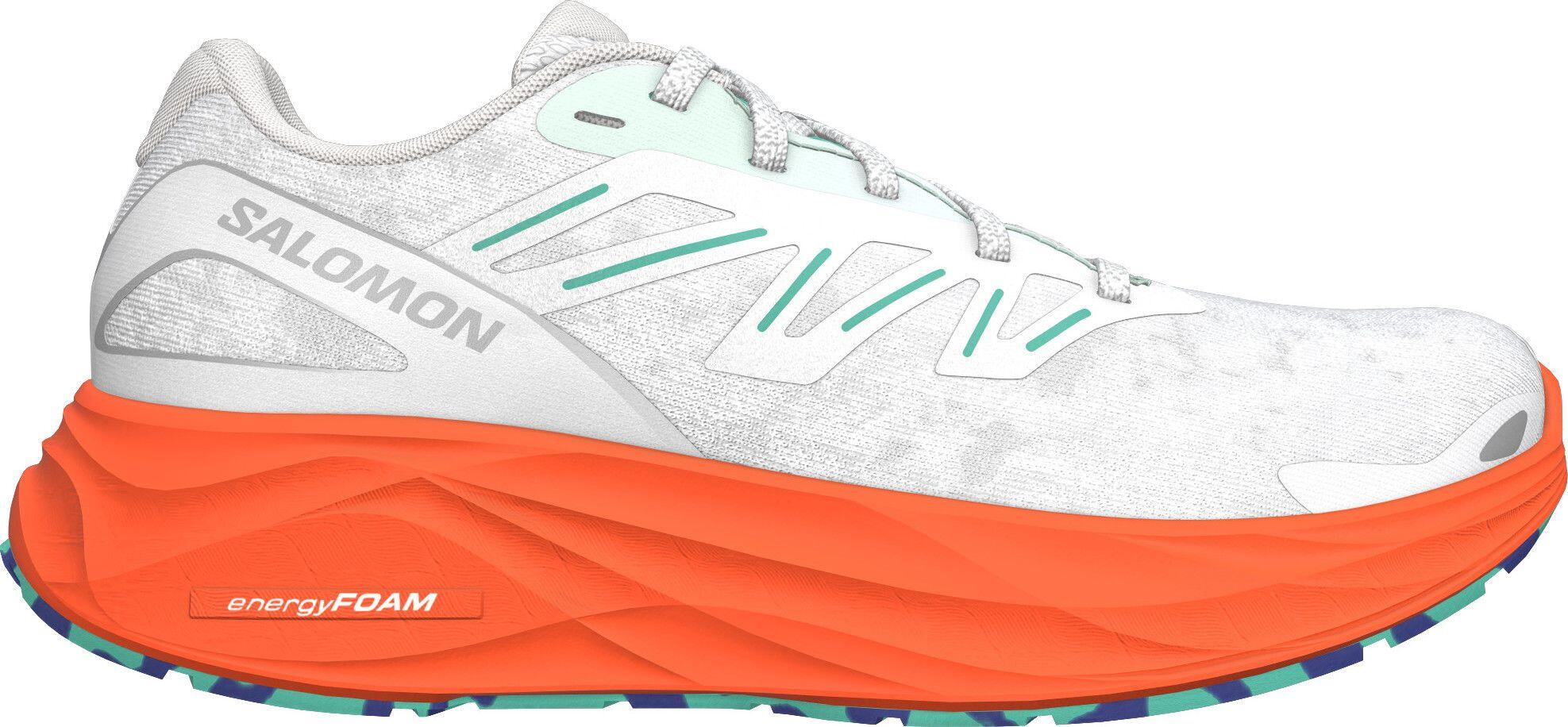 SALOMON picture