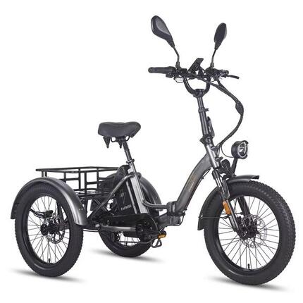 Unisex Volwassene City Opvouwbare E-Cargo Trike 250W 48V 20Ah IPX5 F20 Mate