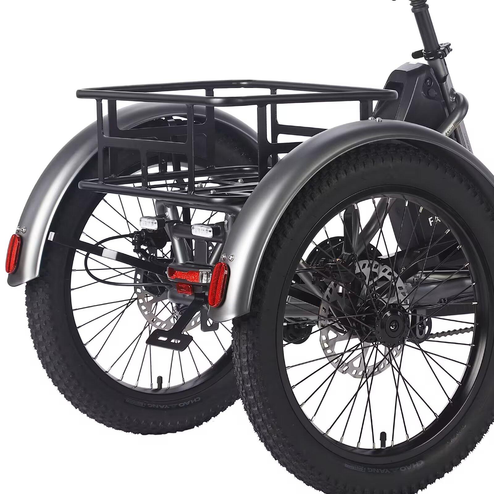Trike cargo électrique pliant City Cycling Unisex 250W 48V 20Ah IPX5 F20 Mate 4/6