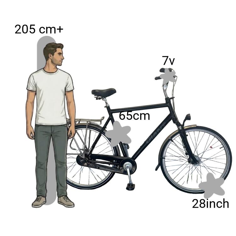 Bicicletta usata Giant Brisbane 2/4