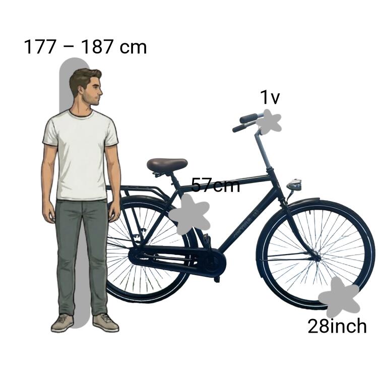 Bicicletta usata Cortina U1 2/4