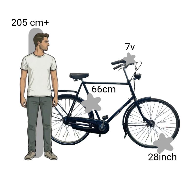 Bicicletta usata Gazelle Primeur 2/4