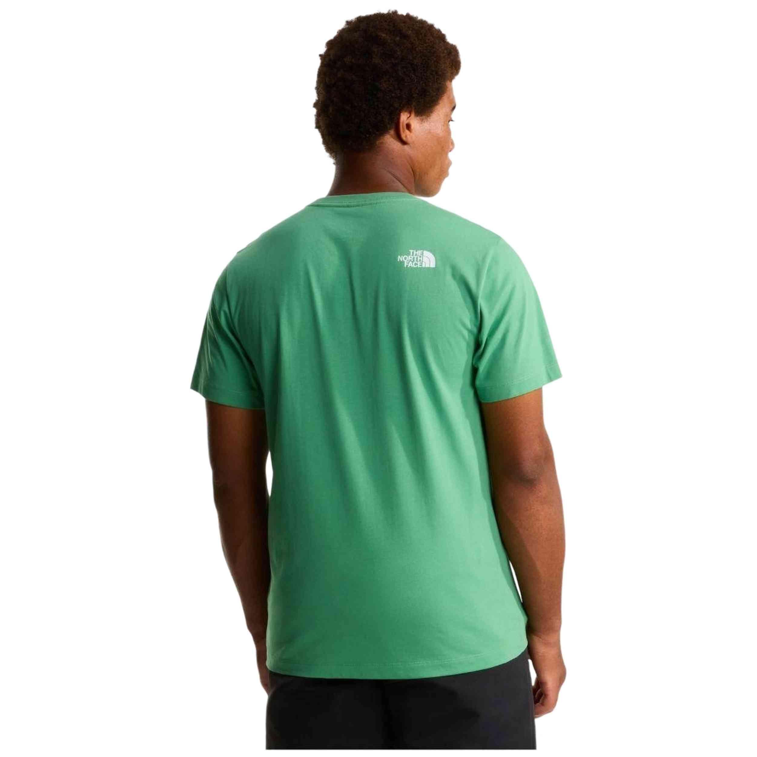 T-shirt The north face modèle M EVOLUTION HALF DOME REGULAR SHORT SLE pour homme 2/5