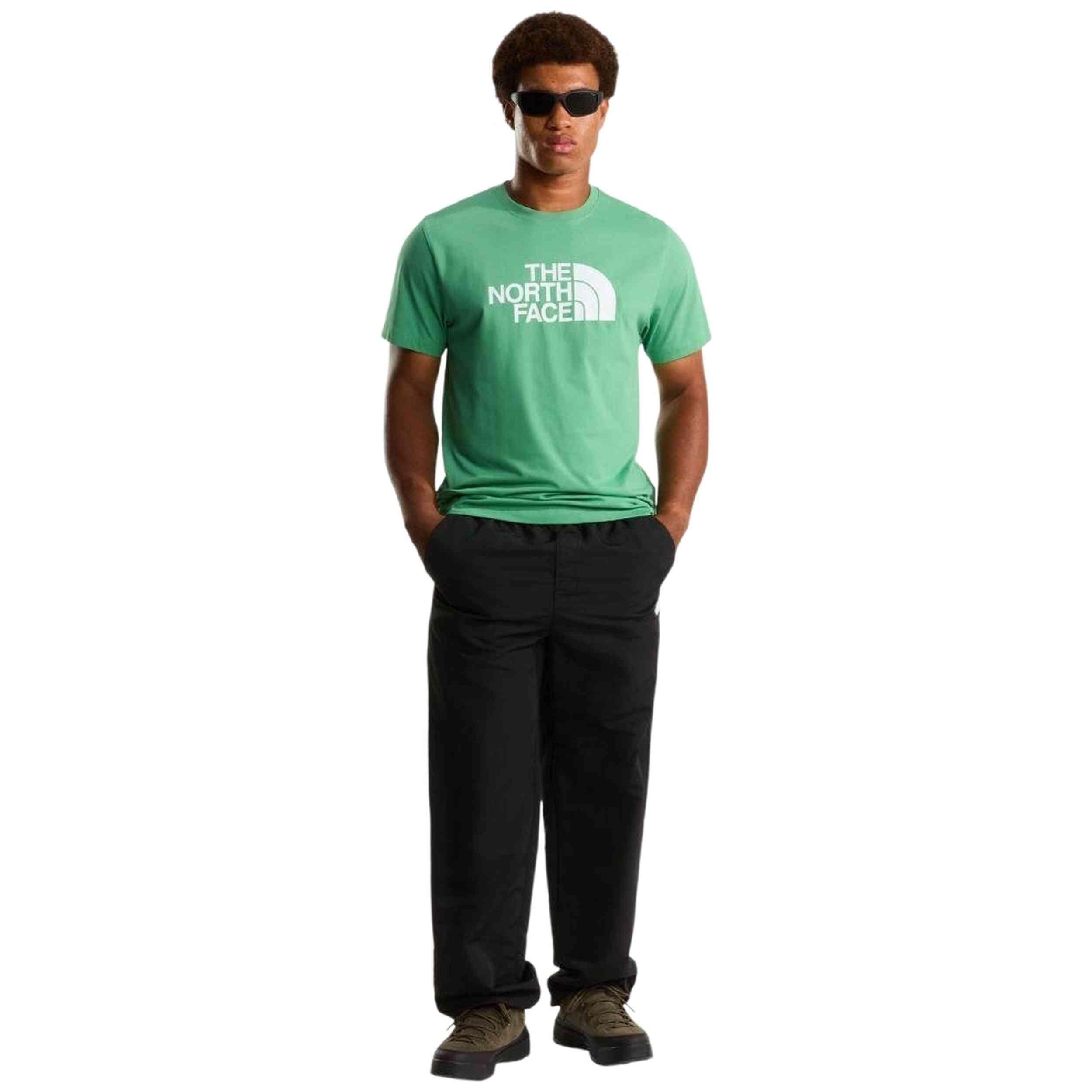 T-shirt The north face modèle M EVOLUTION HALF DOME REGULAR SHORT SLE pour homme 5/5