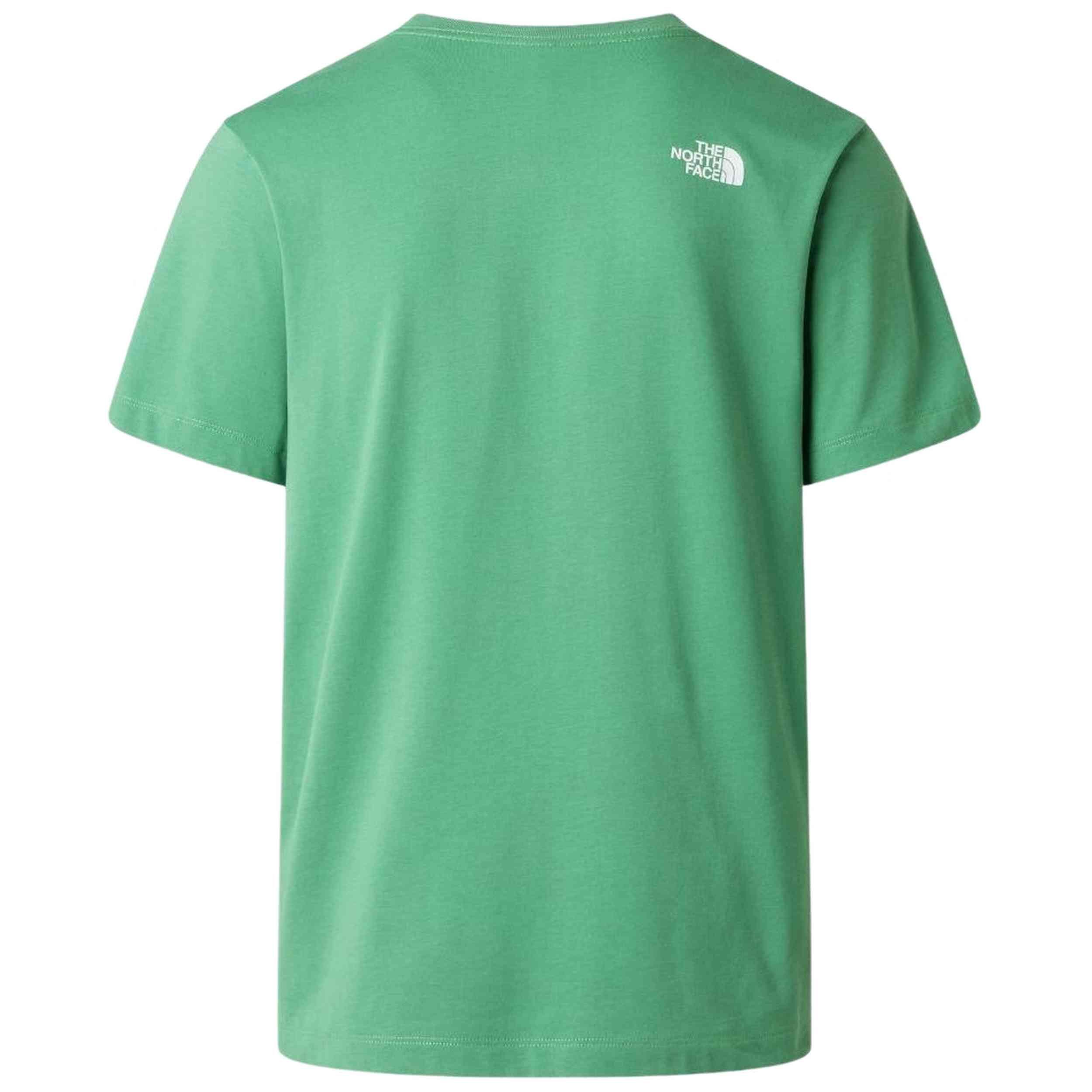 T-shirt The north face modèle M EVOLUTION HALF DOME REGULAR SHORT SLE pour homme 4/5