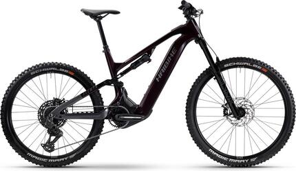 VTT Électrique Tout-Suspendu Haibike AllMtn CF 9 12V 800Wh Bosch 85 Nm MX (29/27