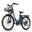 Bicicletă Electrică F26 Lasting 26" 250W Baterie 36V 25Ah 80km LCD 7 Viteze