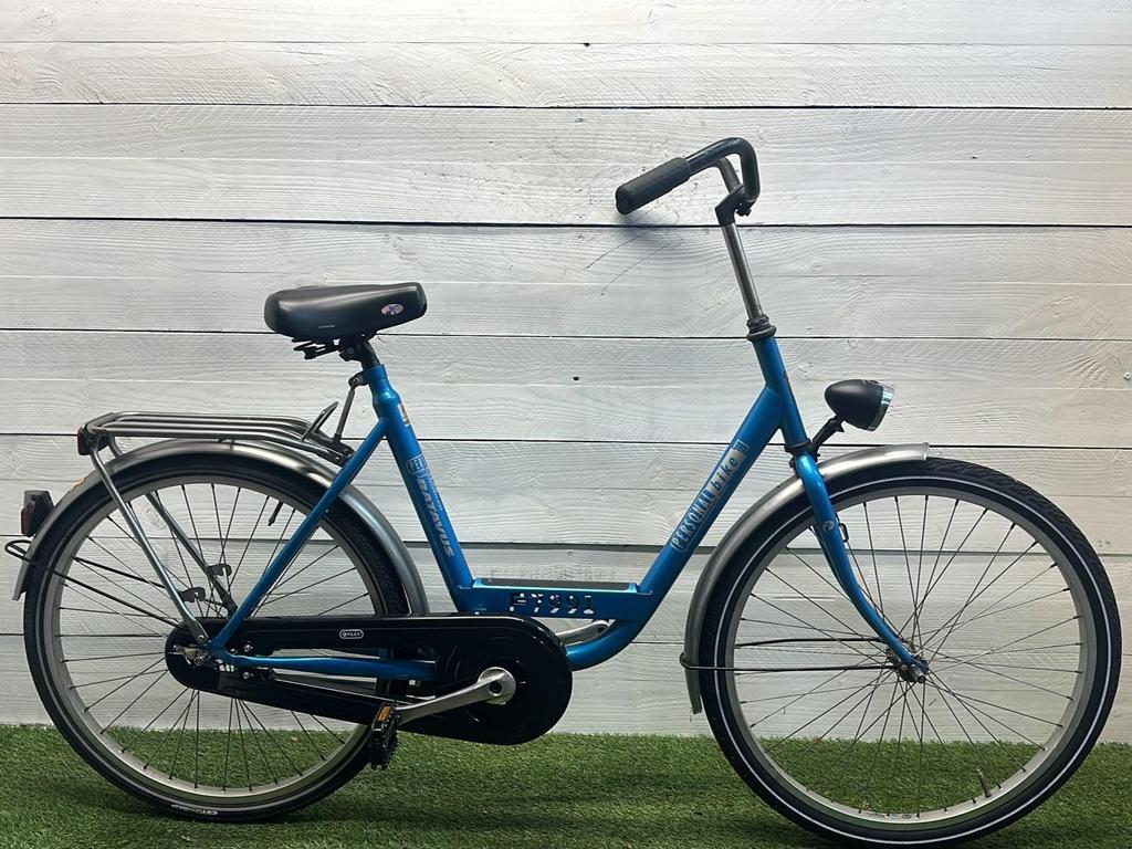 BATAVUS picture
