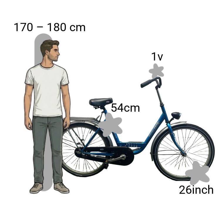 Bicicletta usata Batavus Personal Bike 2/4