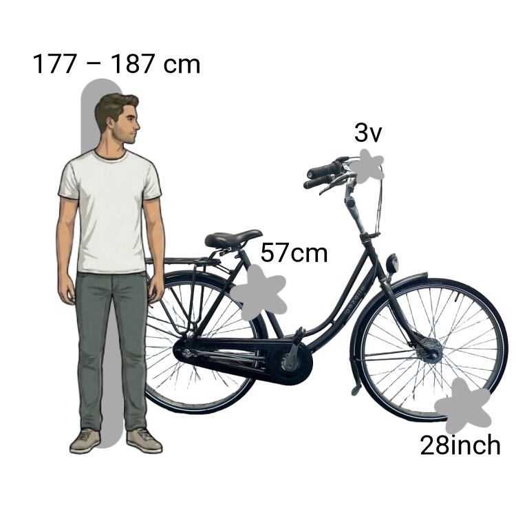 Bicicletta usata Gazelle Primeur 2/4