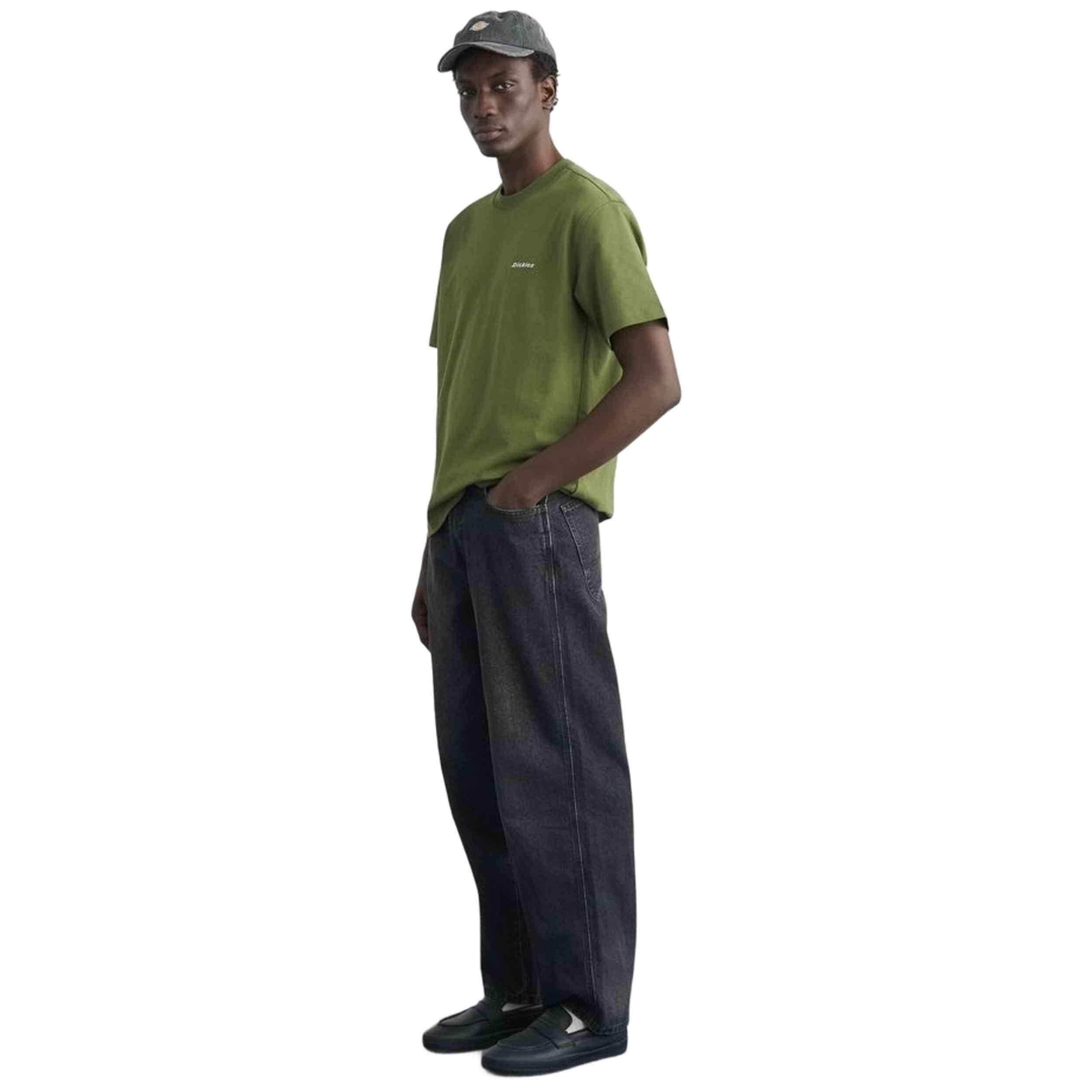 T-shirt met korte mouwen Dickies model Loretto voor mannen 2/5