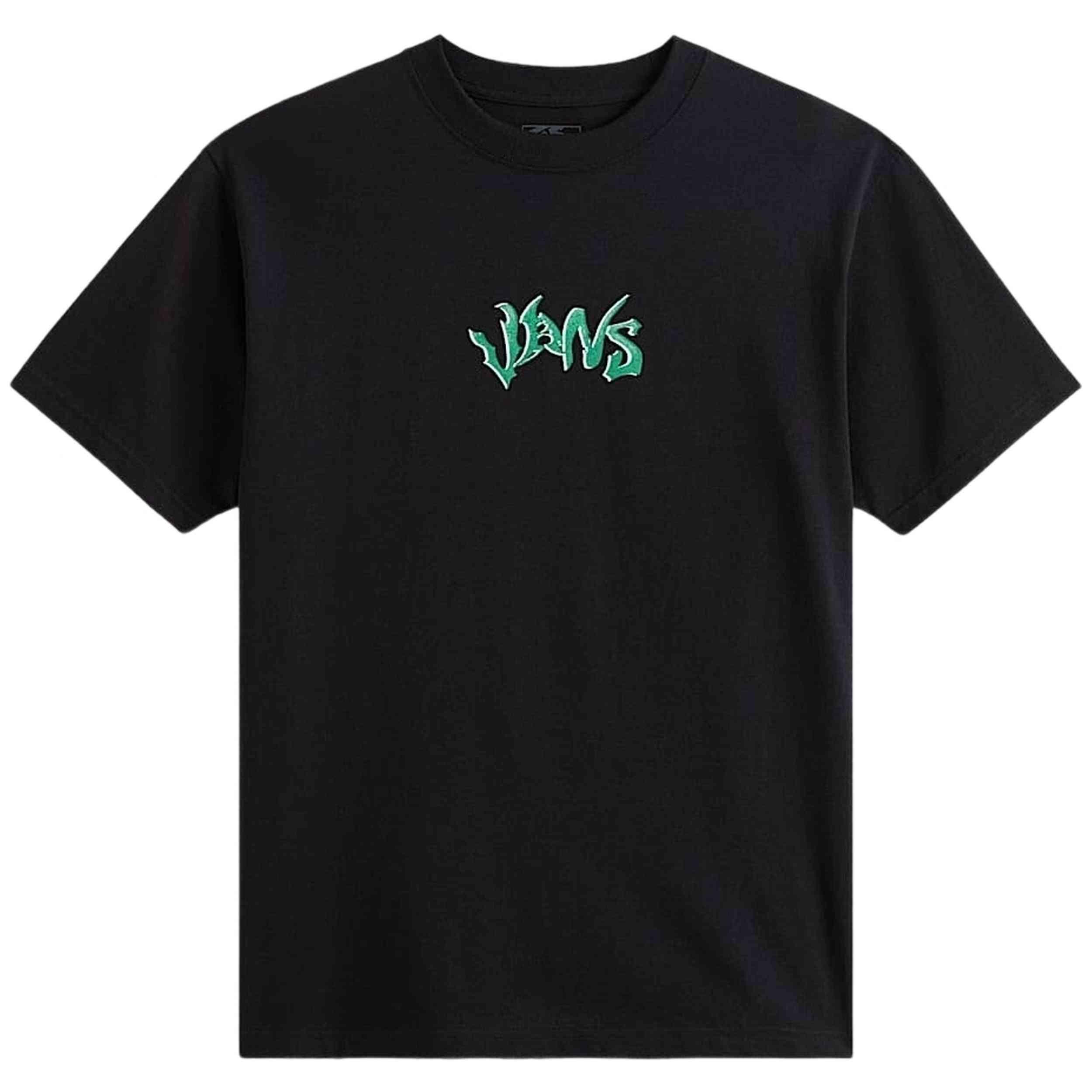 VANS picture