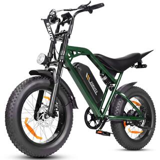 ESKUTE Bici elettrica V202 pneumatico spesso 20", 250W, batteria 48V 20,8Ah, 7 marce
