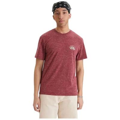 T-shirt met korte mouwen quiksilver model 077-53367556735315 voor mannen