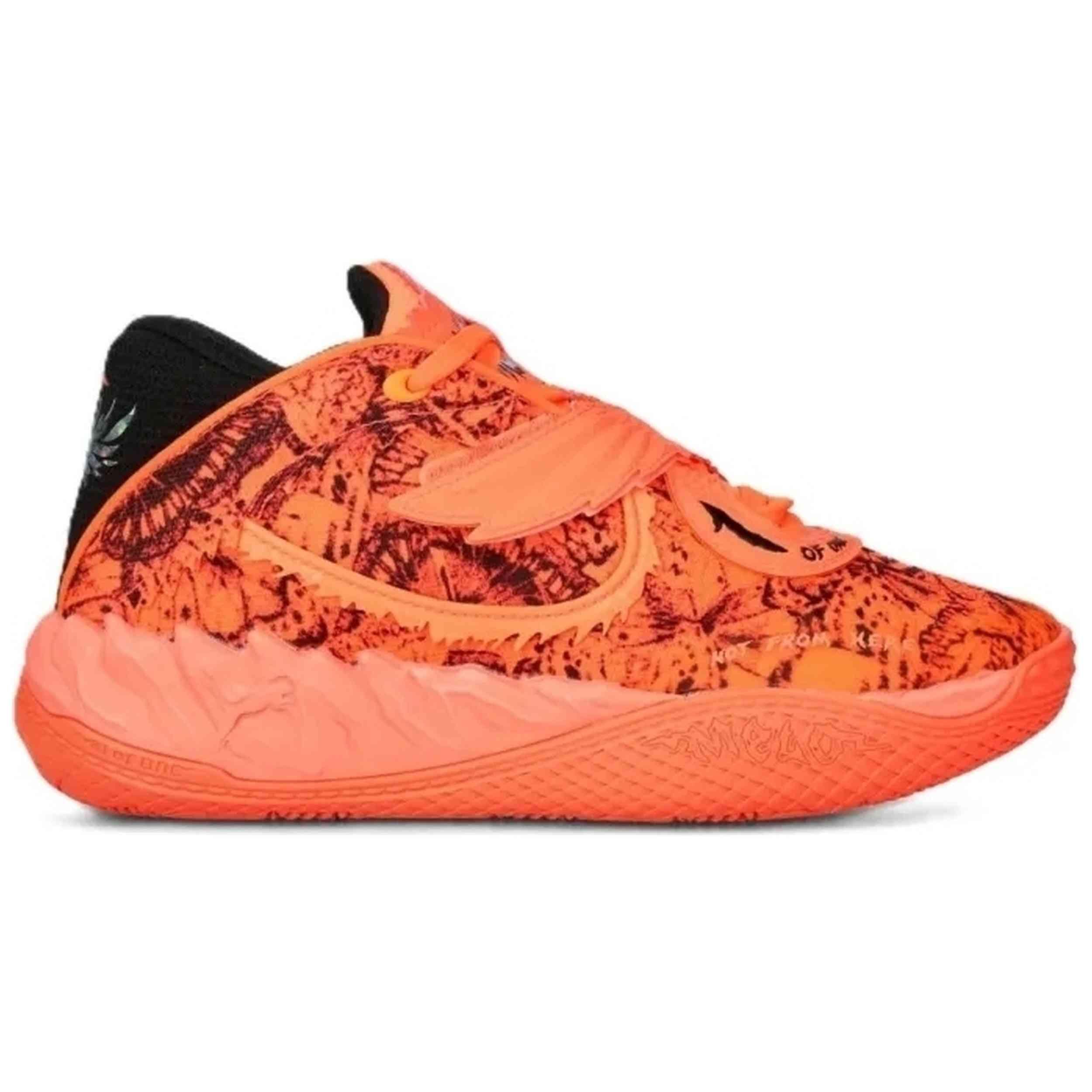 PUMA picture
