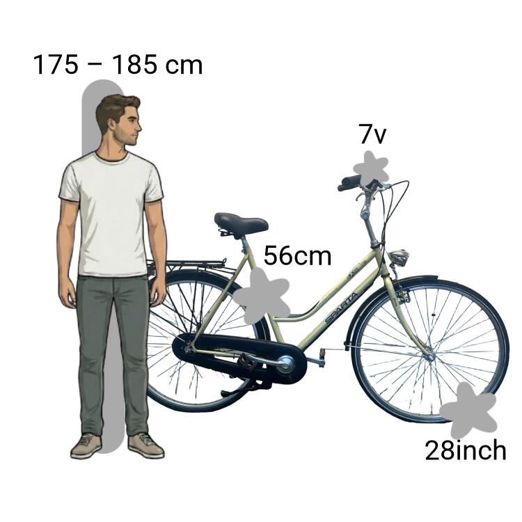 Bicicletta usata Sparta X-tra Grand Tourismo 2/4