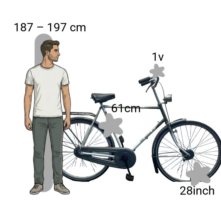 Bicicletta usata Gazelle Primeur 2/4