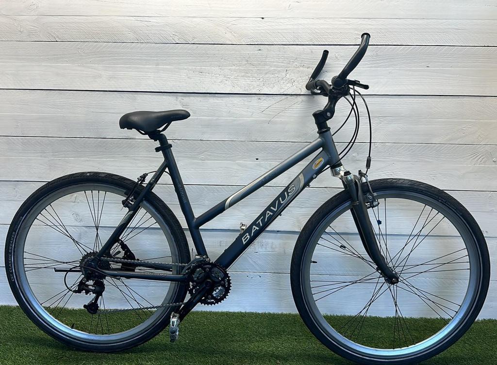 BATAVUS picture