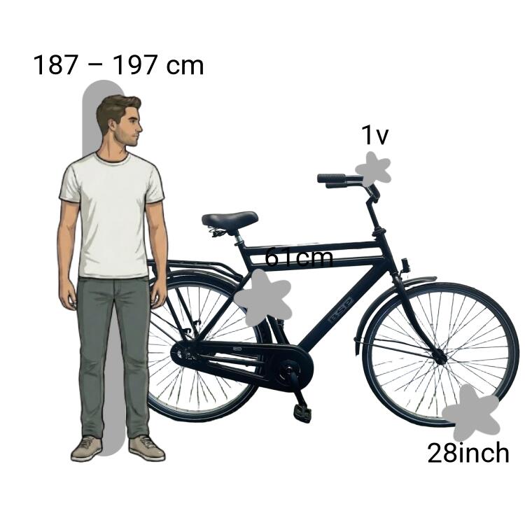 Bicicletta usata BSP 2/4